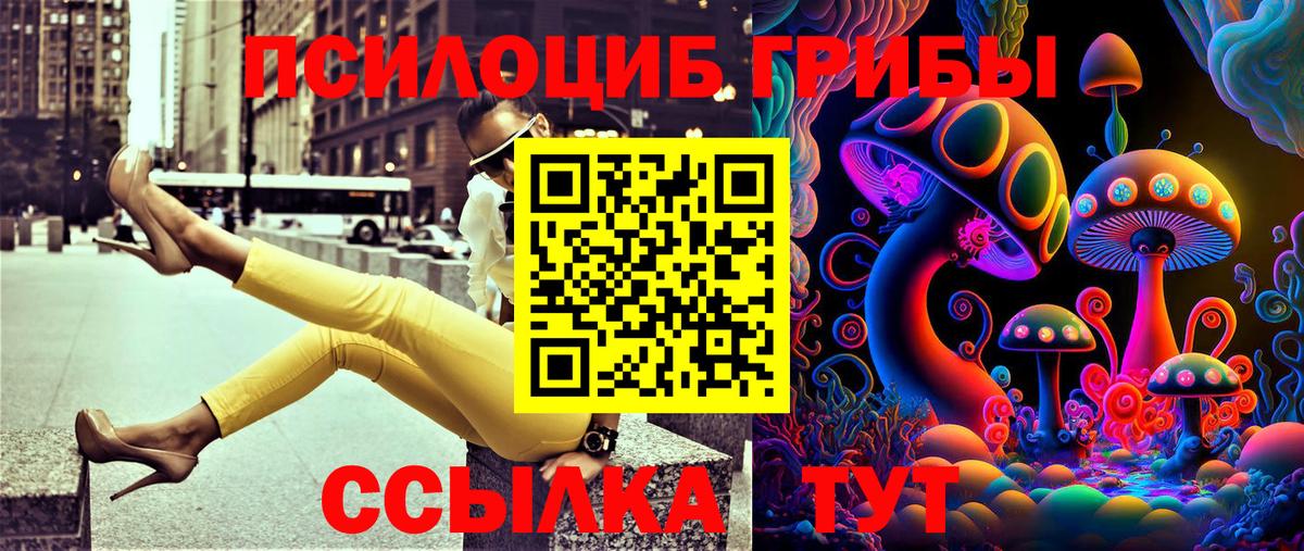 Нижнекамск  Псилоцибиновые грибы Magic Shrooms  где можно купить наркотик  Вход с VPN 